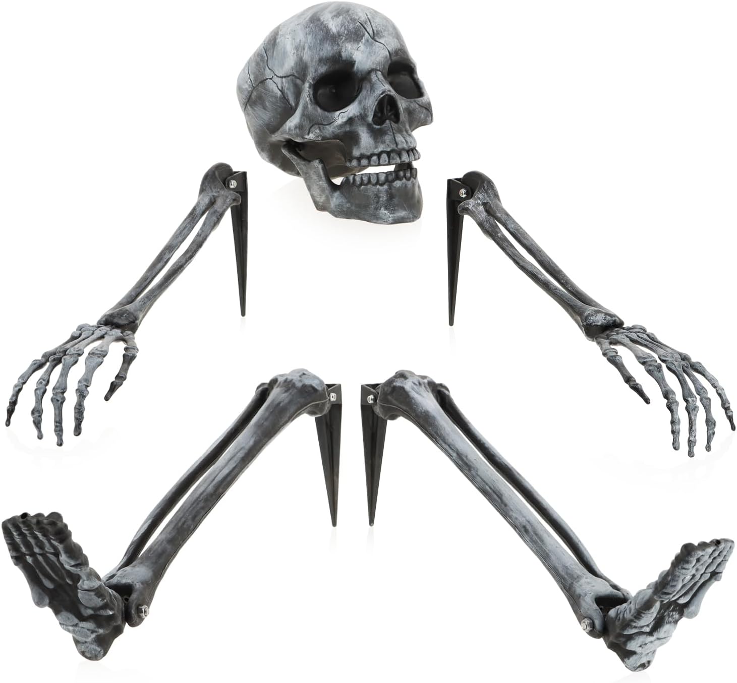 Halloween Bottenset met Grondanker 5 stuks