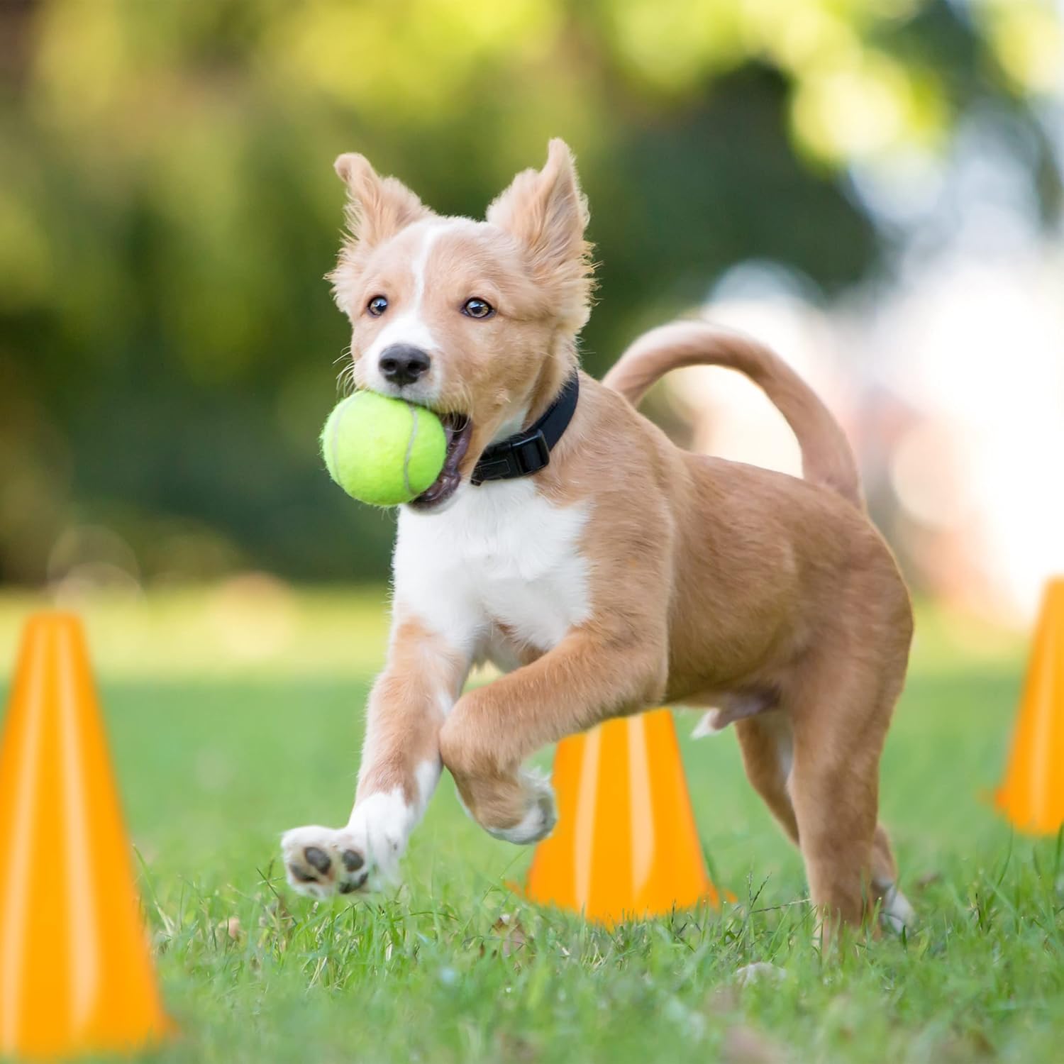 Pionnen Set Oranje 23 cm