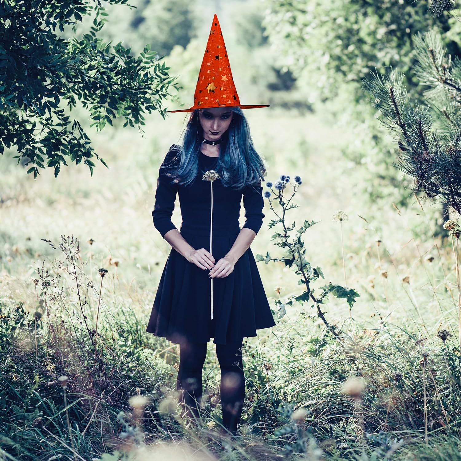 Tovenaarshoed met Sterren Gekleurd 6 stuks