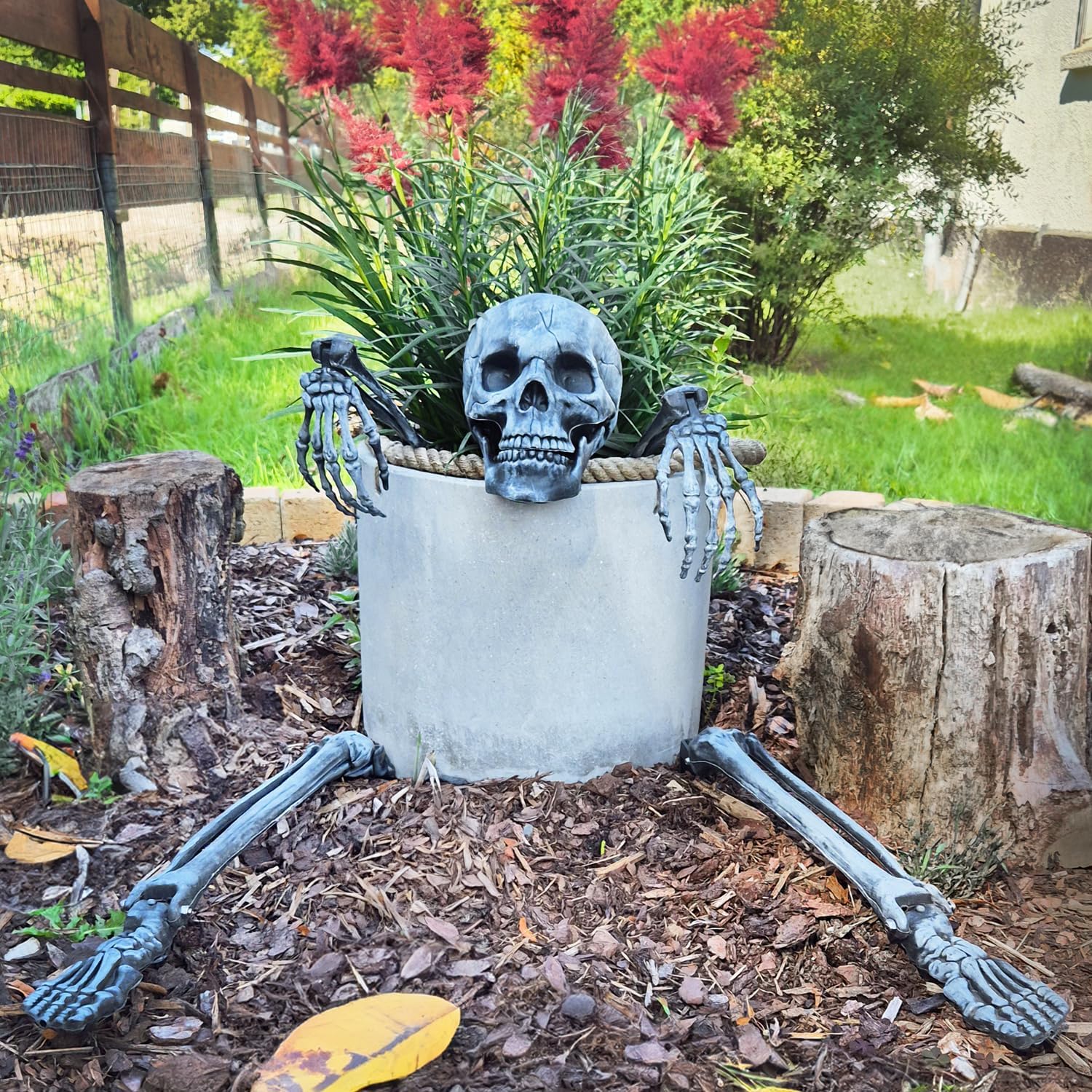 Halloween Bottenset met Grondanker 5 stuks