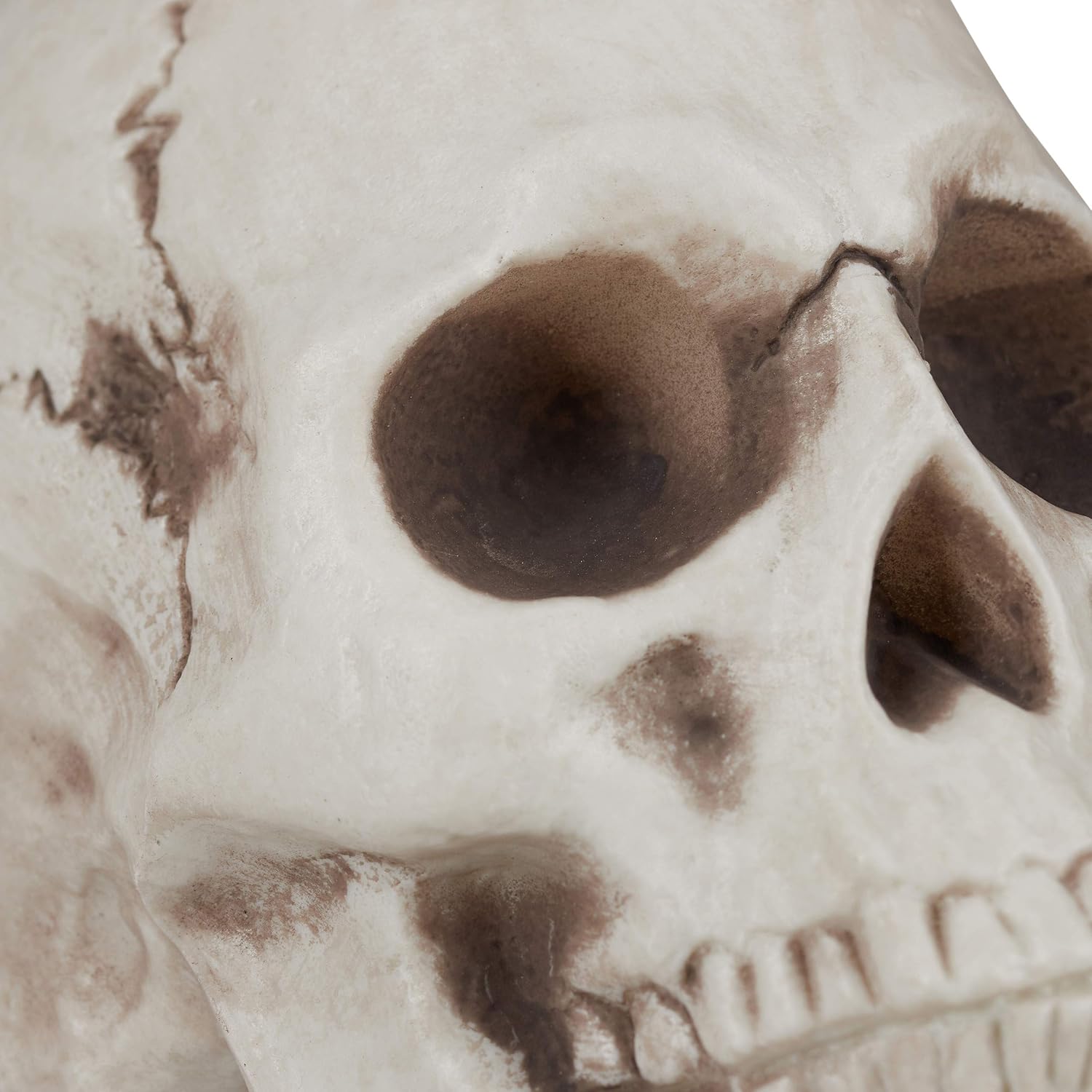 Skelet Botten met Schedel en Handen XXL 12 delig